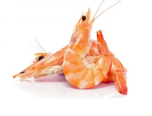Langostinos