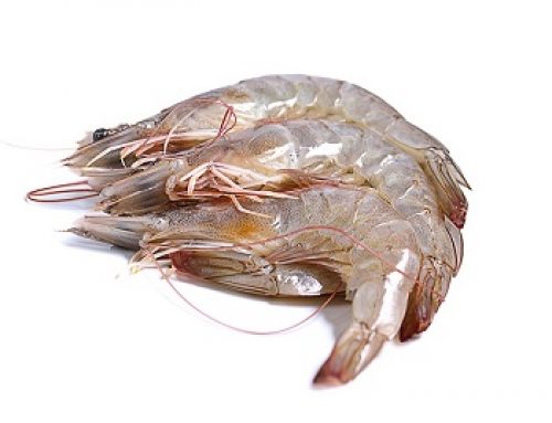 Langostino Crudo Salvaje Especial Plancha